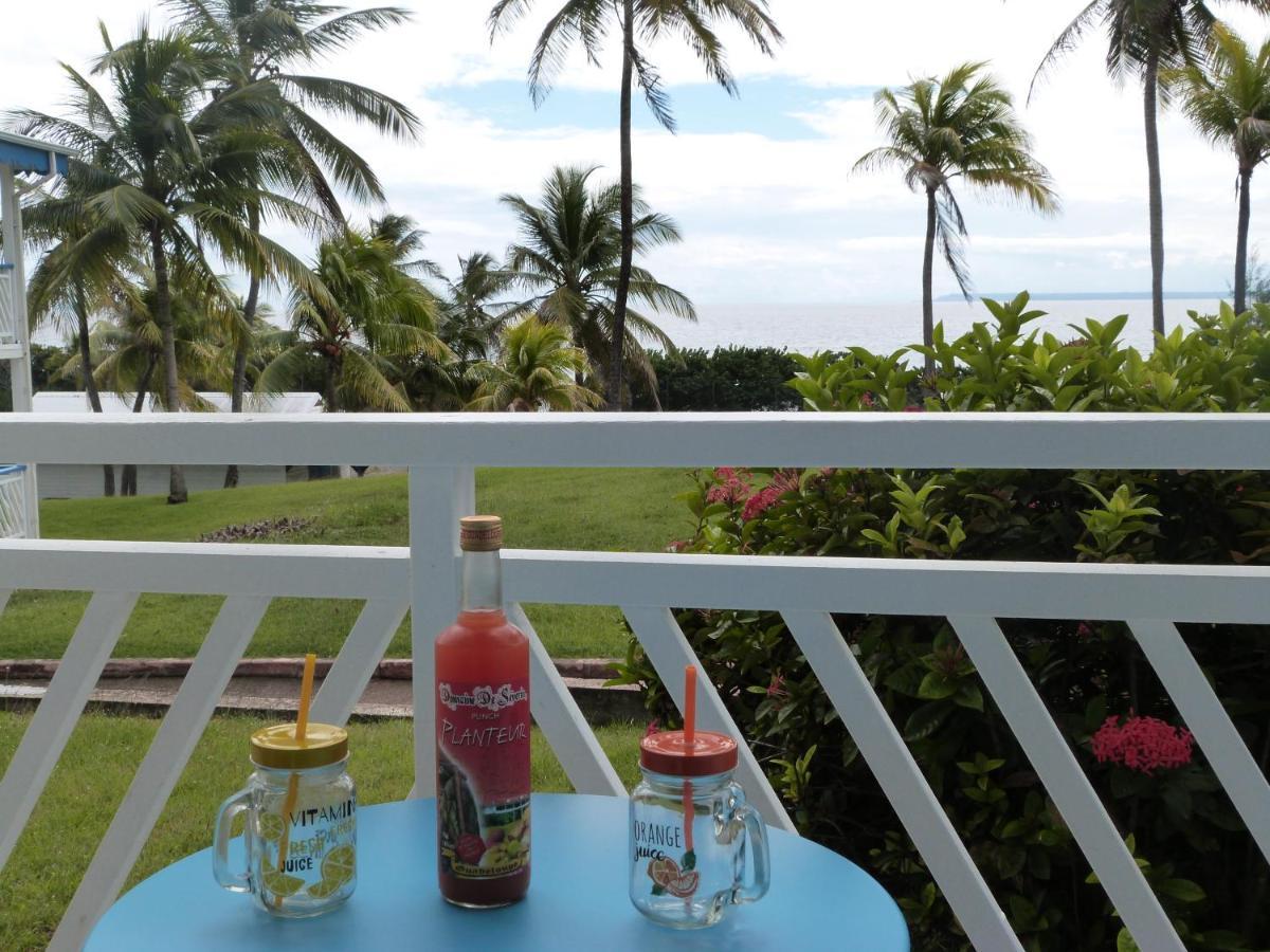 Studio balcon vue mer Ti punch kaz Manganao, piscine et plage Saint-Francois  Eksteriør bilde