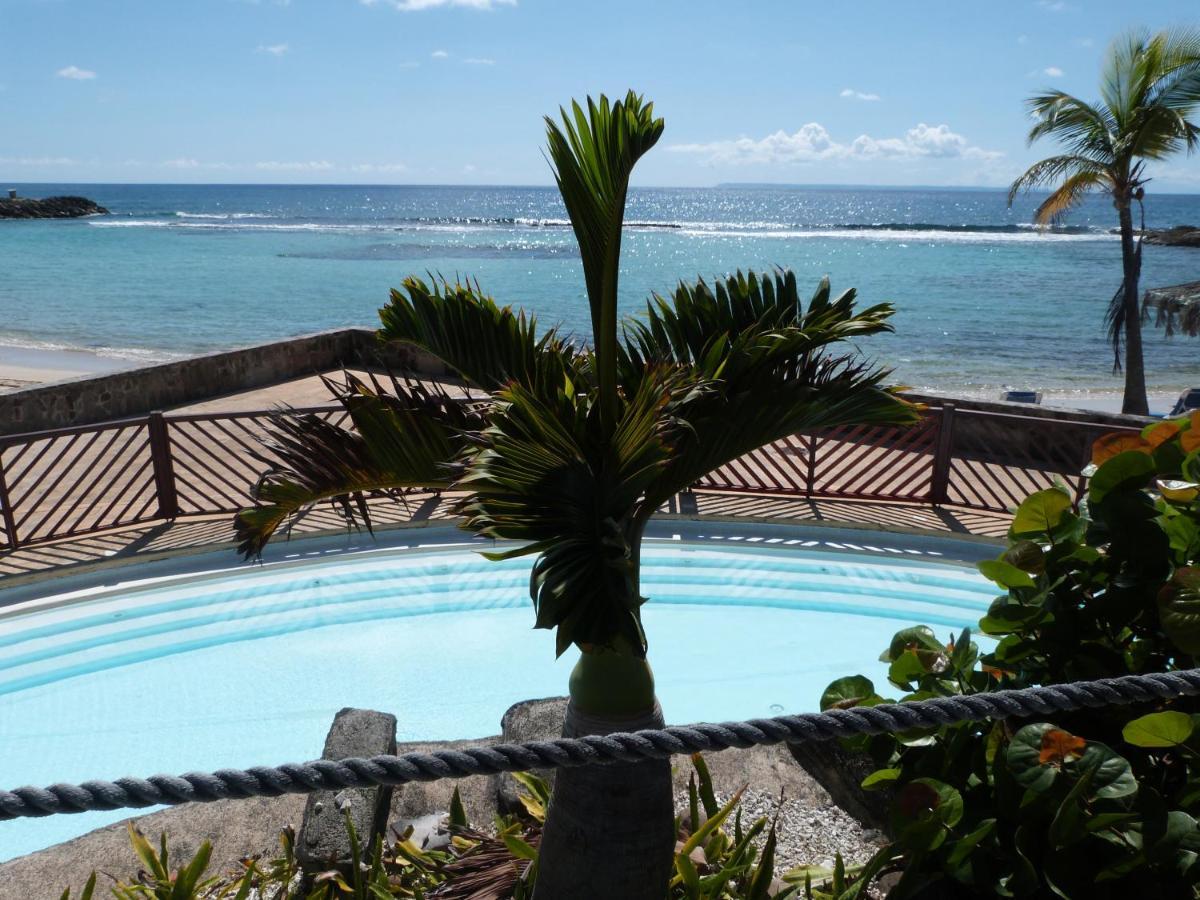 Studio balcon vue mer Ti punch kaz Manganao, piscine et plage Saint-Francois  Eksteriør bilde
