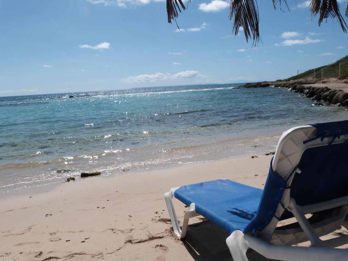 Studio balcon vue mer Ti punch kaz Manganao, piscine et plage Saint-Francois  Eksteriør bilde