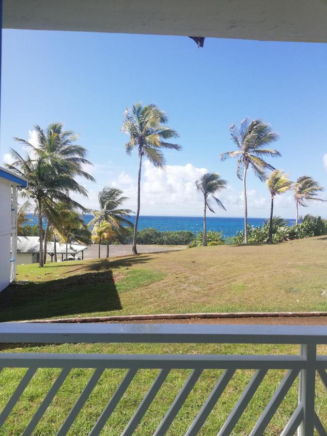 Studio balcon vue mer Ti punch kaz Manganao, piscine et plage Saint-Francois  Eksteriør bilde
